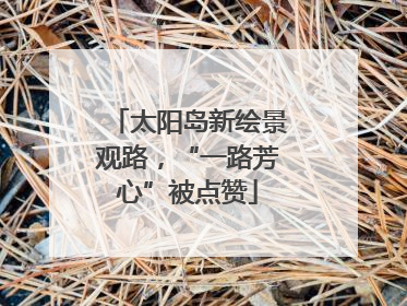 太阳岛新绘景观路，“一路芳心”被点赞