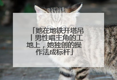 她在地铁开塔吊丨男性唱主角的工地上，她独创的操作法成标杆