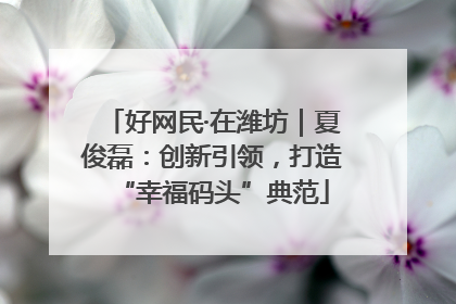 好网民·在潍坊｜夏俊磊：创新引领，打造“幸福码头”典范