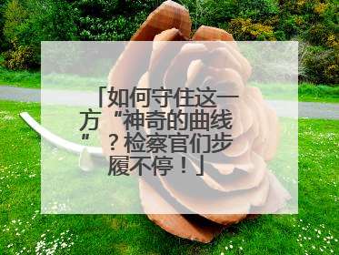 如何守住这一方“神奇的曲线”？检察官们步履不停！