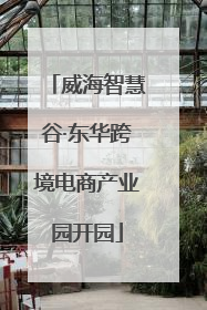 威海智慧谷·东华跨境电商产业园开园