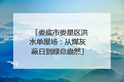 娄底市娄星区洪水单屋场：从煤灰蔽日到绿意盎然