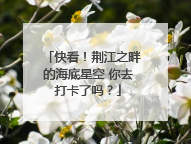 快看！荆江之畔的海底星空 你去打卡了吗？