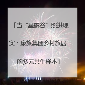 当“星露谷”照进现实：康旅集团乡村旅居的多元共生样本