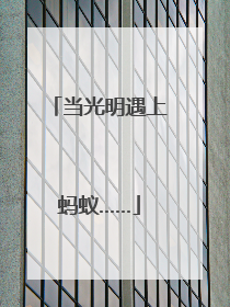 当光明遇上蚂蚁……