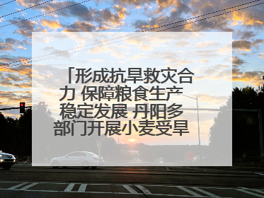 形成抗旱救灾合力 保障粮食生产稳定发展 丹阳多部门开展小麦受旱情况调研