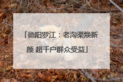 德阳罗江：老沟渠焕新颜 超千户群众受益