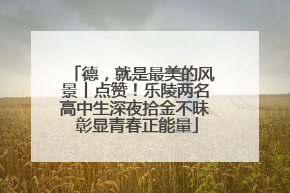 德，就是最美的风景丨点赞！乐陵两名高中生深夜拾金不昧 彰显青春正能量