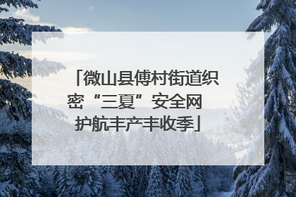 微山县傅村街道织密“三夏”安全网 护航丰产丰收季