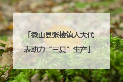 微山县张楼镇人大代表助力“三夏”生产