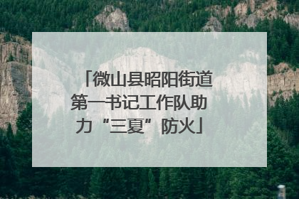 微山县昭阳街道第一书记工作队助力“三夏”防火