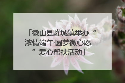 微山县驩城镇举办“浓情端午·圆梦微心愿”爱心帮扶活动
