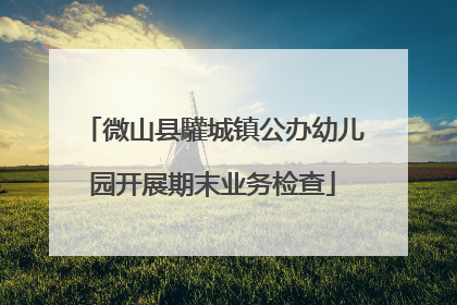 微山县驩城镇公办幼儿园开展期末业务检查