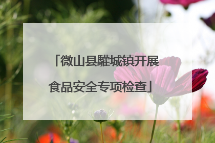 微山县驩城镇开展食品安全专项检查