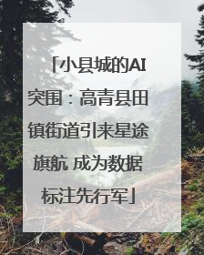 小县城的AI突围：高青县田镇街道引来星途旗航 成为数据标注先行军