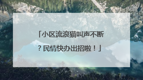 小区流浪猫叫声不断？民情快办出招啦！