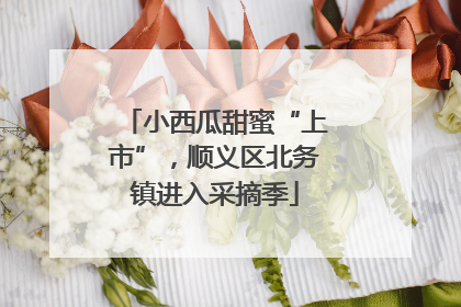 小西瓜甜蜜“上市”，顺义区北务镇进入采摘季