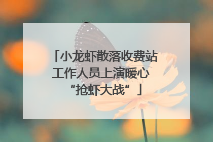 小龙虾散落收费站 工作人员上演暖心“抢虾大战”