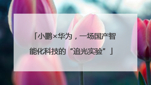 小鹏×华为，一场国产智能化科技的“追光实验”