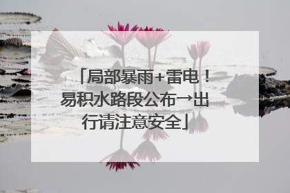 局部暴雨+雷电！易积水路段公布→出行请注意安全