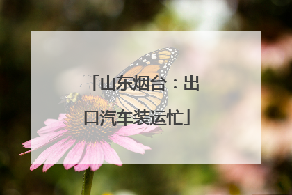 山东烟台：出口汽车装运忙