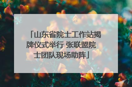 山东省院士工作站揭牌仪式举行 张联盟院士团队现场助阵