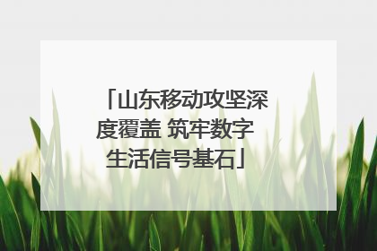 山东移动攻坚深度覆盖 筑牢数字生活信号基石