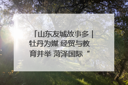 山东友城故事多｜牡丹为媒 经贸与教育并举 菏泽国际“朋友圈”扩容升级