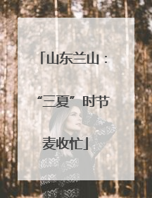 山东兰山：“三夏”时节麦收忙