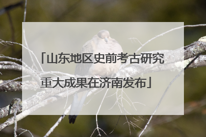 山东地区史前考古研究重大成果在济南发布
