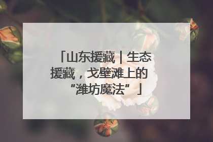 山东援藏｜生态援藏，戈壁滩上的“潍坊魔法”