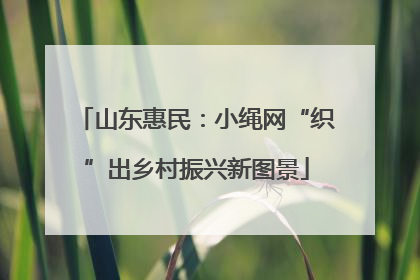 山东惠民：小绳网“织”出乡村振兴新图景