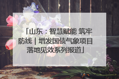 山东：智慧赋能 筑牢防线｜增发国债气象项目落地见效系列报道
