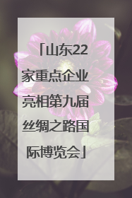 山东22家重点企业亮相第九届丝绸之路国际博览会