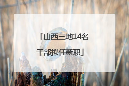 山西三地14名干部拟任新职