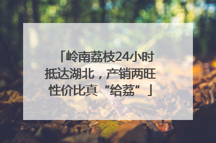 岭南荔枝24小时抵达湖北，产销两旺性价比真“给荔”