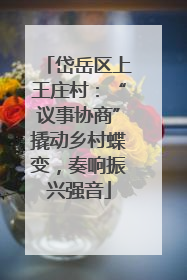 岱岳区上王庄村：“议事协商”撬动乡村蝶变，奏响振兴强音