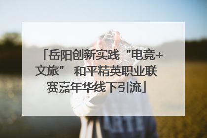 岳阳创新实践“电竞+文旅” 和平精英职业联赛嘉年华线下引流