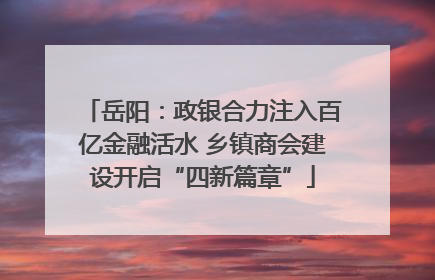 岳阳：政银合力注入百亿金融活水 乡镇商会建设开启“四新篇章”