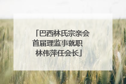 巴西林氏宗亲会首届理监事就职 林伟萍任会长