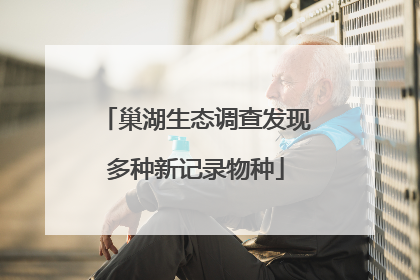 巢湖生态调查发现多种新记录物种