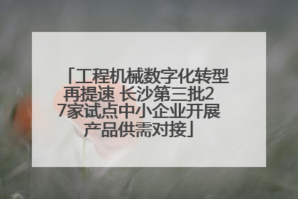工程机械数字化转型再提速 长沙第三批27家试点中小企业开展产品供需对接