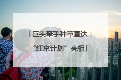 巨头牵手种草直达：“红京计划”亮相