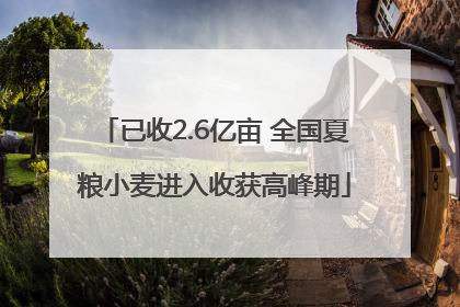 已收2.6亿亩 全国夏粮小麦进入收获高峰期