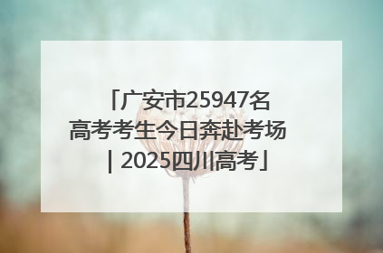 广安市25947名高考考生今日奔赴考场｜2025四川高考