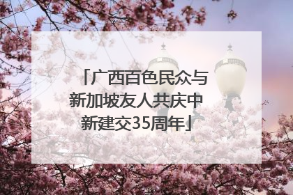 广西百色民众与新加坡友人共庆中新建交35周年