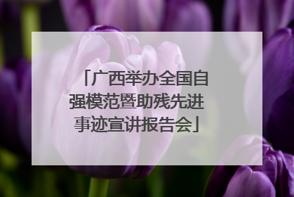 广西举办全国自强模范暨助残先进事迹宣讲报告会
