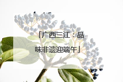 广西三江：品味非遗迎端午