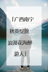 广西南宁秋英绽放 浪漫花海醉游人
