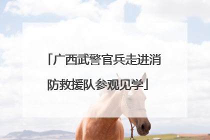 广西武警官兵走进消防救援队参观见学